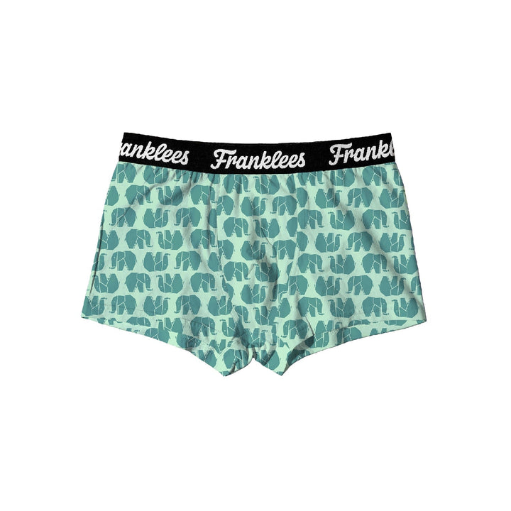 MENS SHORT LEG TRUNKS - MINT ELLIES - Franklees UK